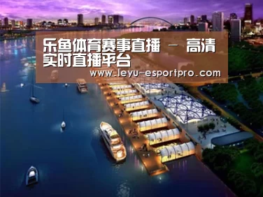 案例展示八