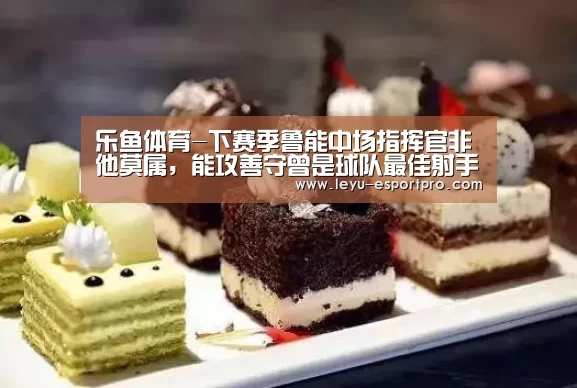 乐鱼体育-下赛季鲁能中场指挥官非他莫属,能攻善守曾是球队最佳射手王(图3) 乐鱼体育