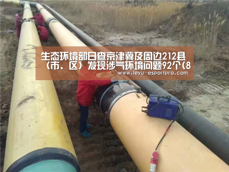 生态环境部日查京津冀及周边212县(市、区)发现涉气环境问题92个(8月10日):乐鱼直播(图3) 乐鱼真人娱乐