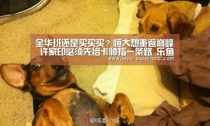 全华班还是买买买?恒大想重返巅峰 许家印必须先给卡帅指一条路_乐鱼电竞APP(图3) 乐鱼体育