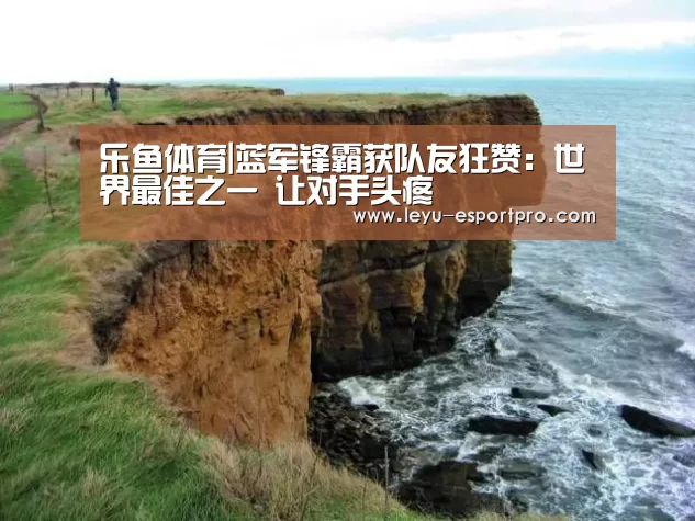 乐鱼体育|蓝军锋霸获队友狂赞:世界最佳之一 让对手头疼(图3) 乐鱼电竞APP