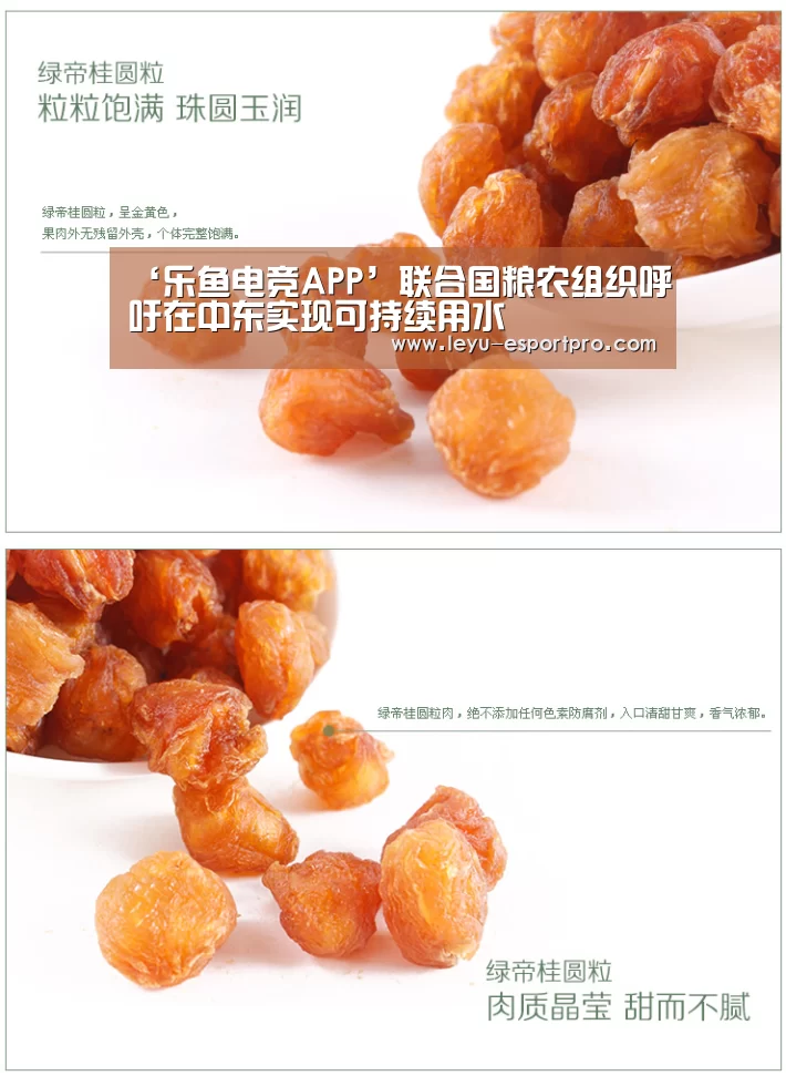 乐鱼电竞APP