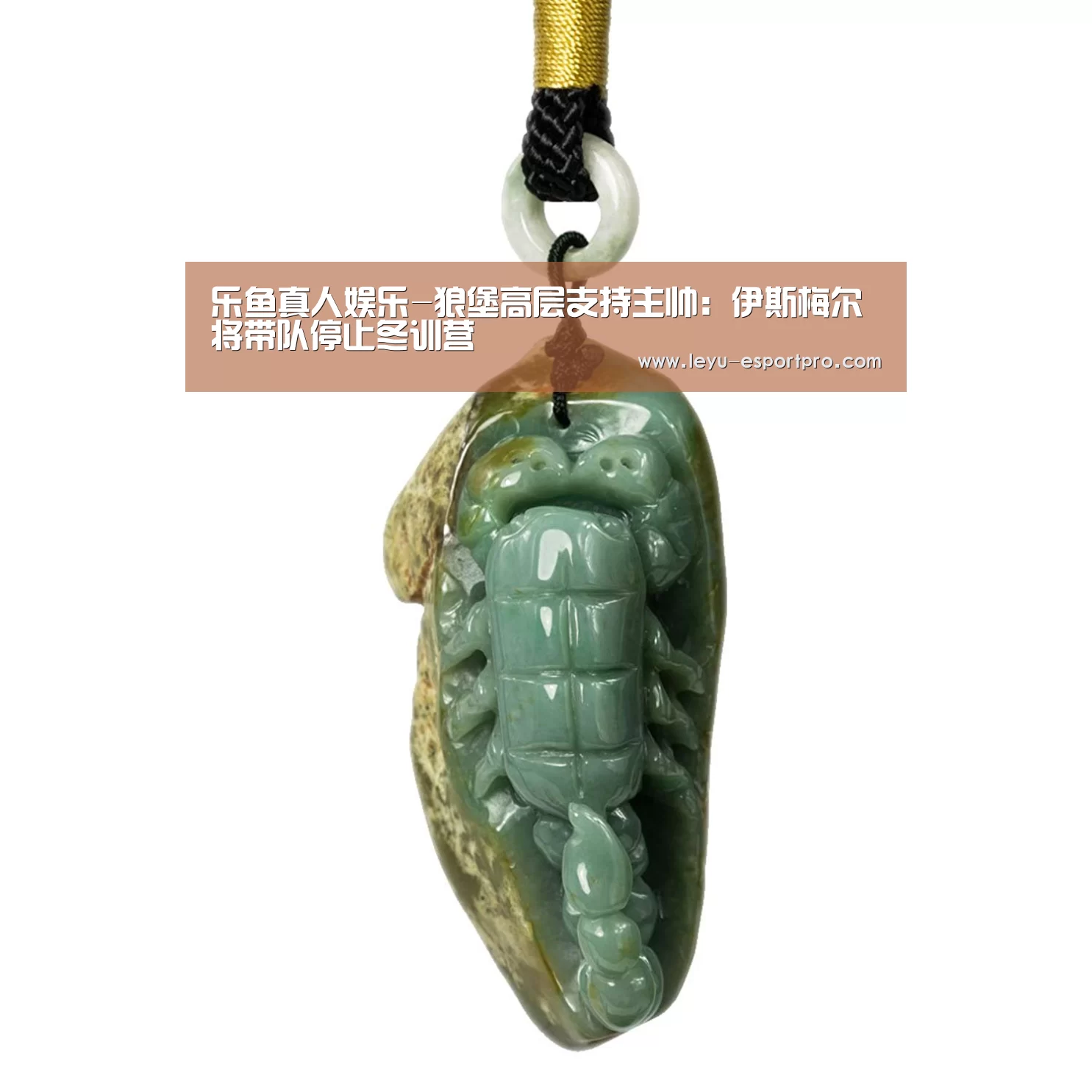 乐鱼真人娱乐-狼堡高层支持主帅:伊斯梅尔将带队停止冬训营(图2) 乐鱼真人娱乐